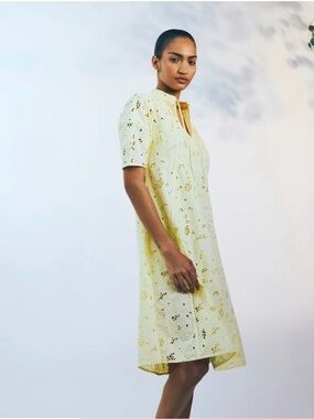 Everlane Women's Eyelet Midi Dress in Pale Yellow Size Medium 100% Cotton